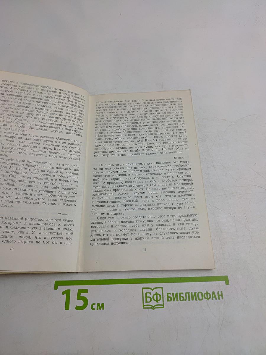 Страдания юного Вертера
