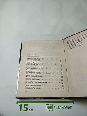 Зеленая брама