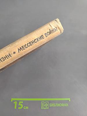 След огненной жизни. Мессенские войны