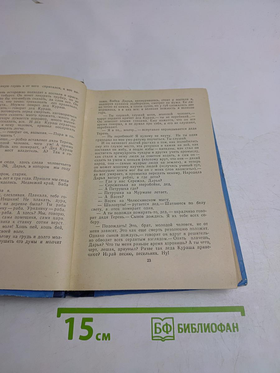 Обыкновенная Арктика