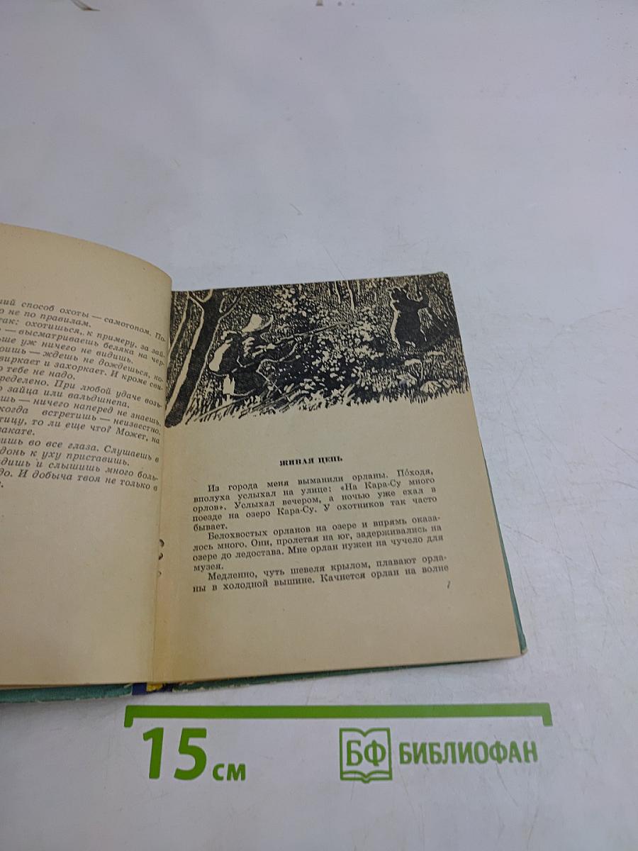 Краешком глаза
