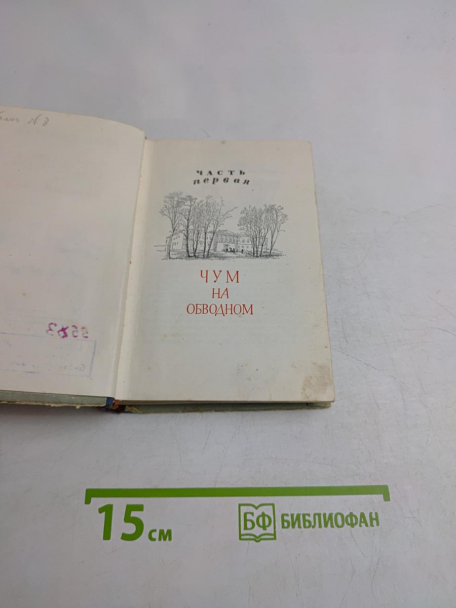 Юноша с далекой реки