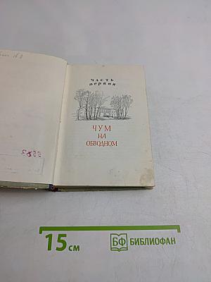 Юноша с далекой реки