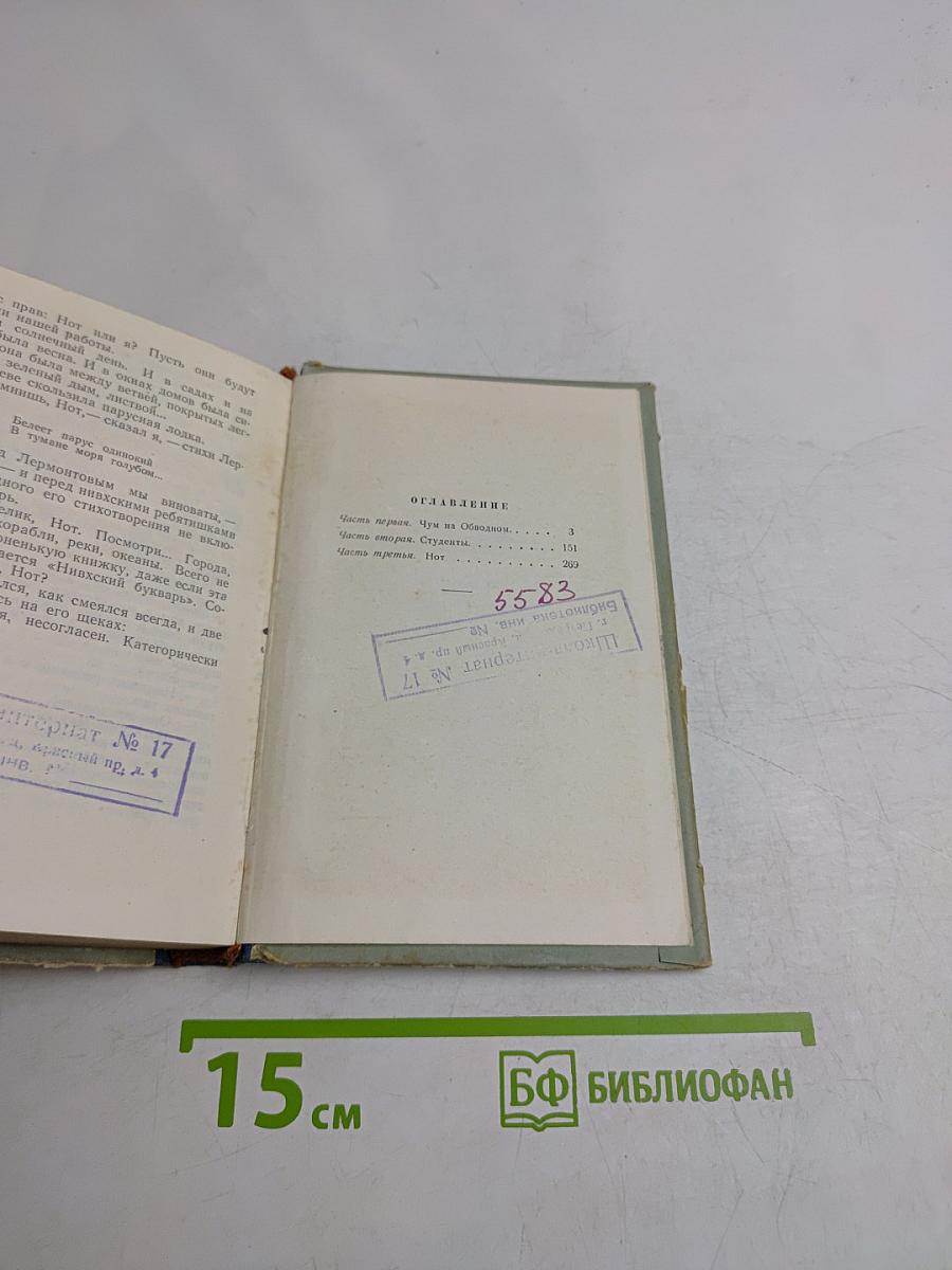 Юноша с далекой реки