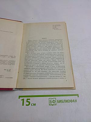 Нормы современного русского литературного языка