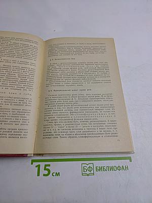 Русский язык. Фонетика. Морфология. Орфография