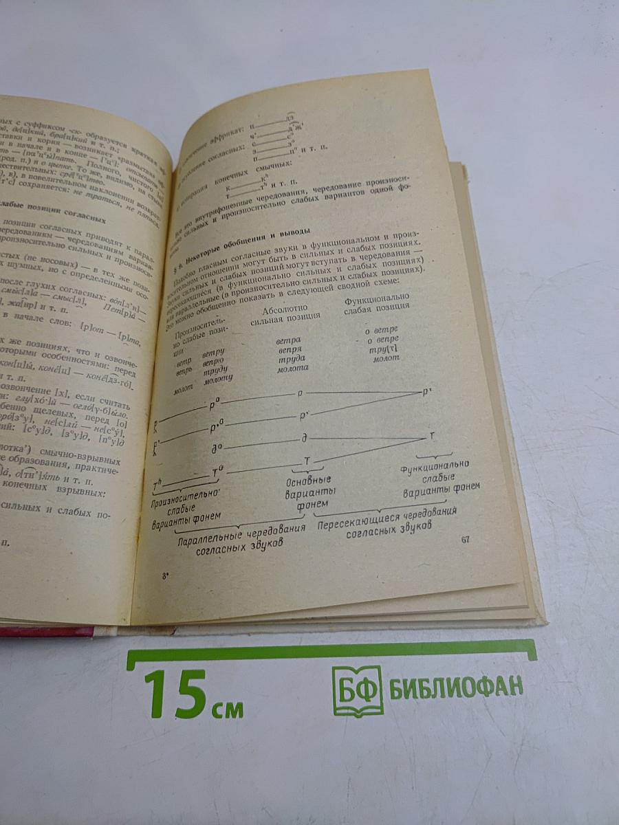 Русский язык. Фонетика. Морфология. Орфография