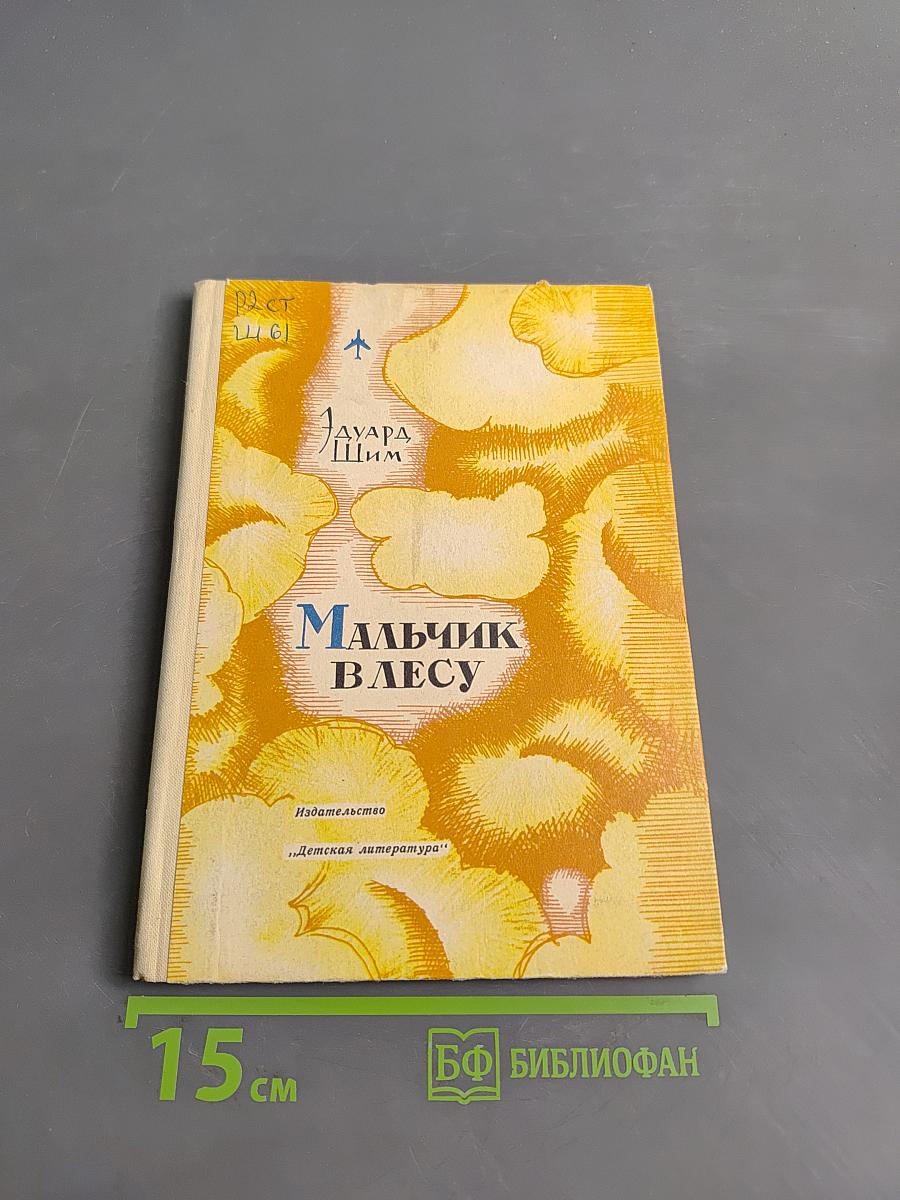 Мальчик в лесу