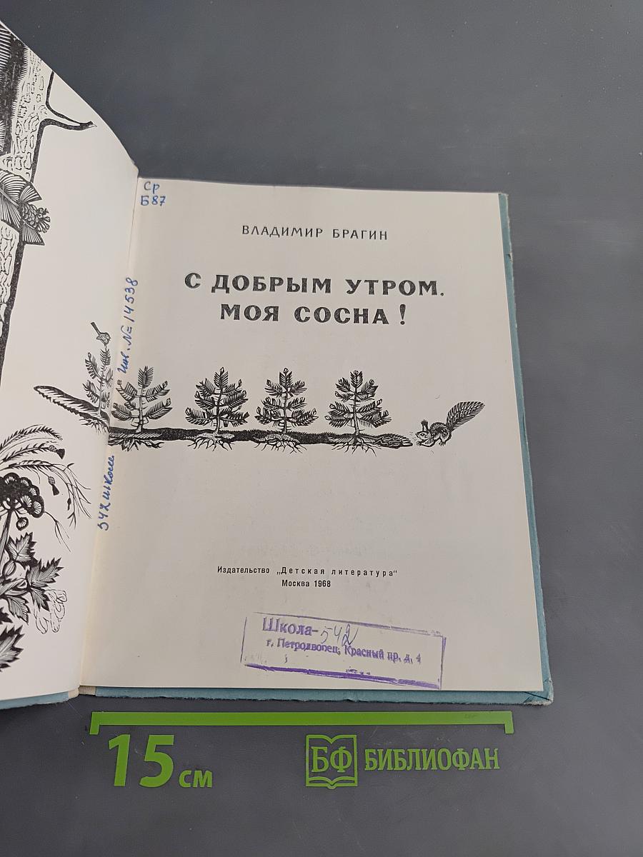 С добрым утром, моя сосна!