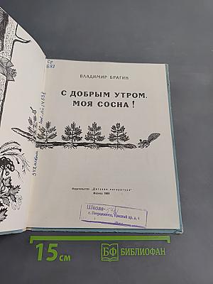 С добрым утром, моя сосна!