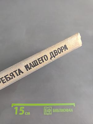 Ребята нашего двора