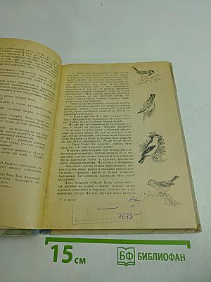 Клуб Колумбов