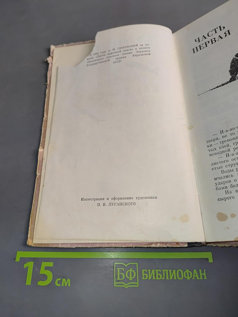 Листы каменной книги