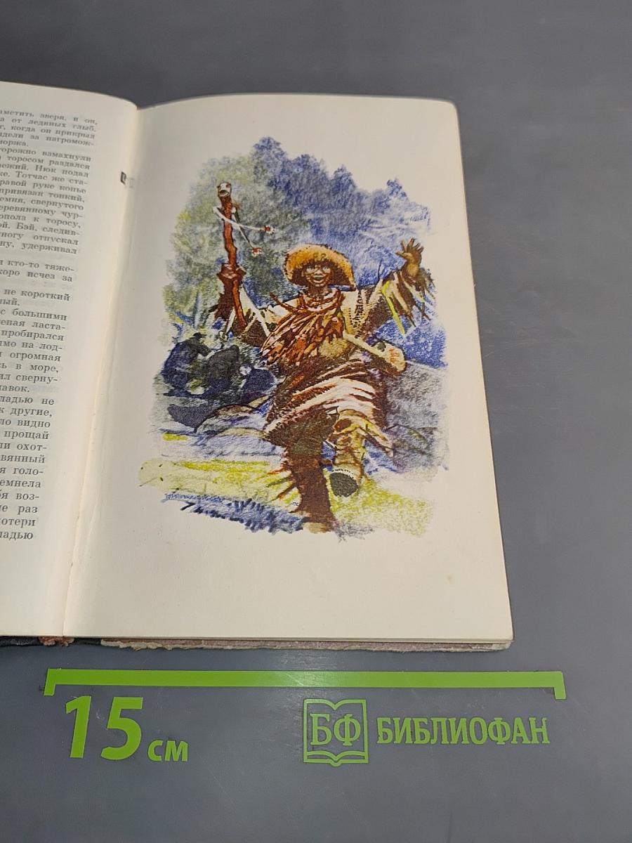 Листы каменной книги