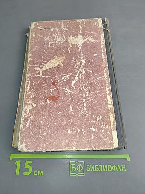 Листы каменной книги