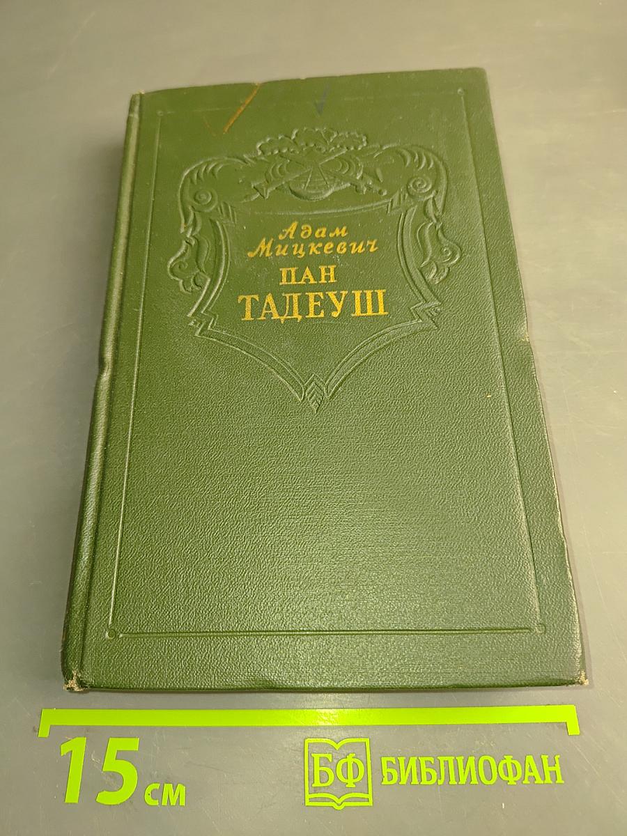 Пан Тадеуш, или Последний наезд на Литве