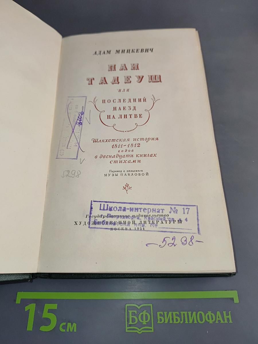 Пан Тадеуш, или Последний наезд на Литве