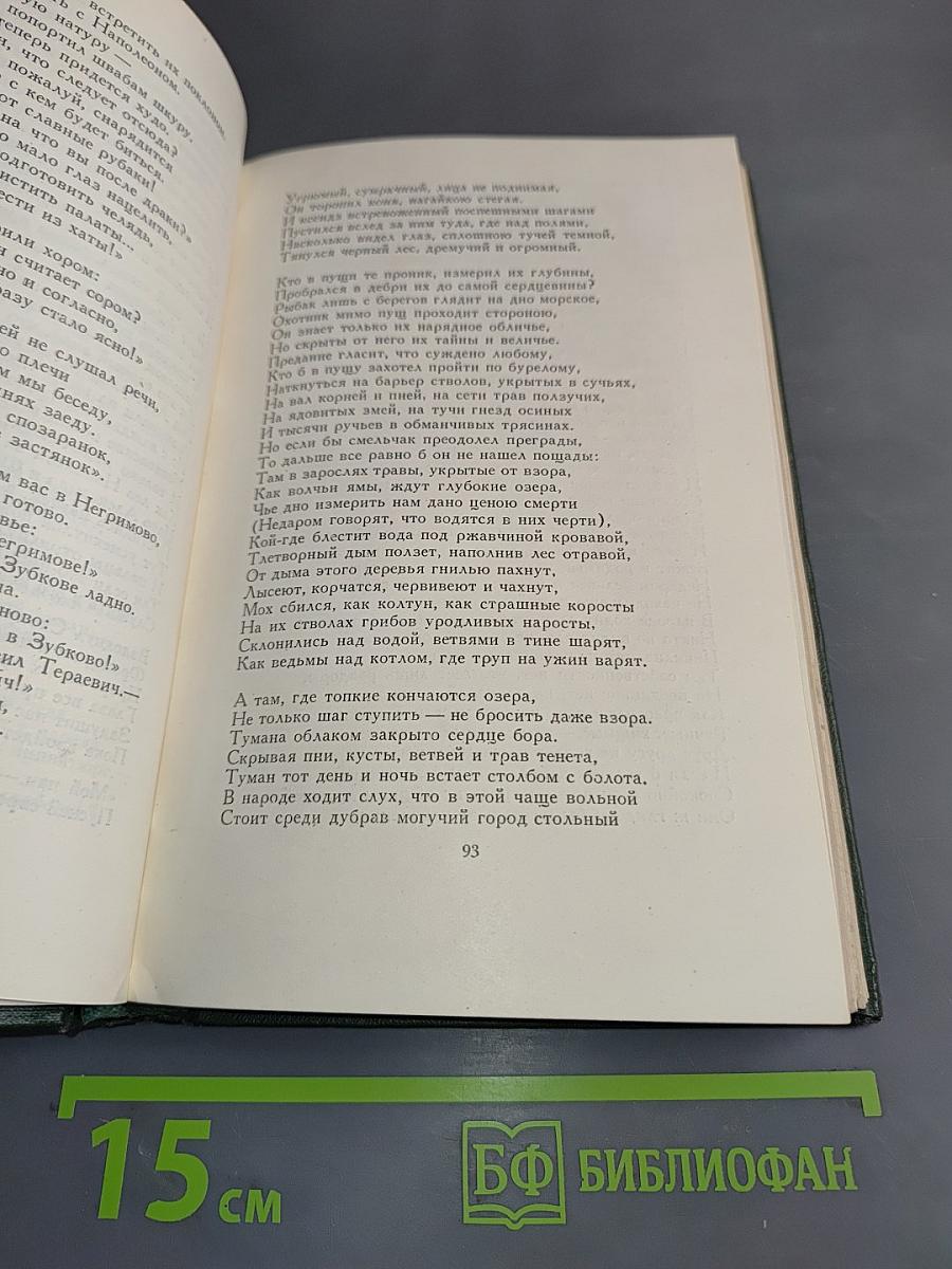 Пан Тадеуш, или Последний наезд на Литве