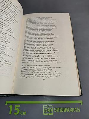 Пан Тадеуш, или Последний наезд на Литве