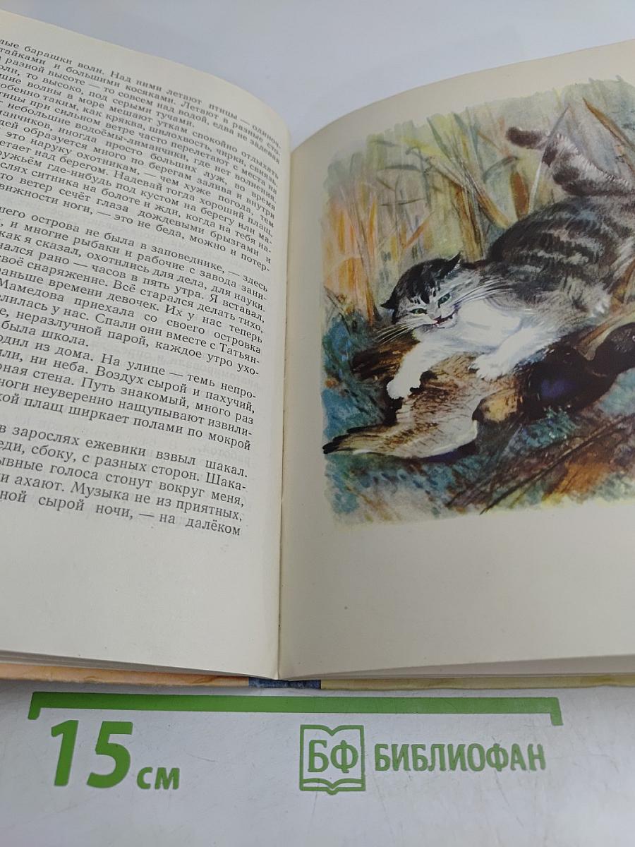 Васька Путешественник