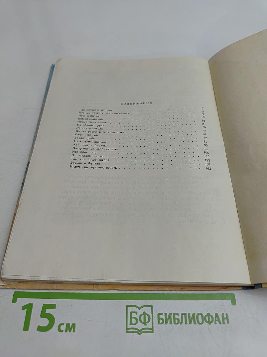 Васька Путешественник
