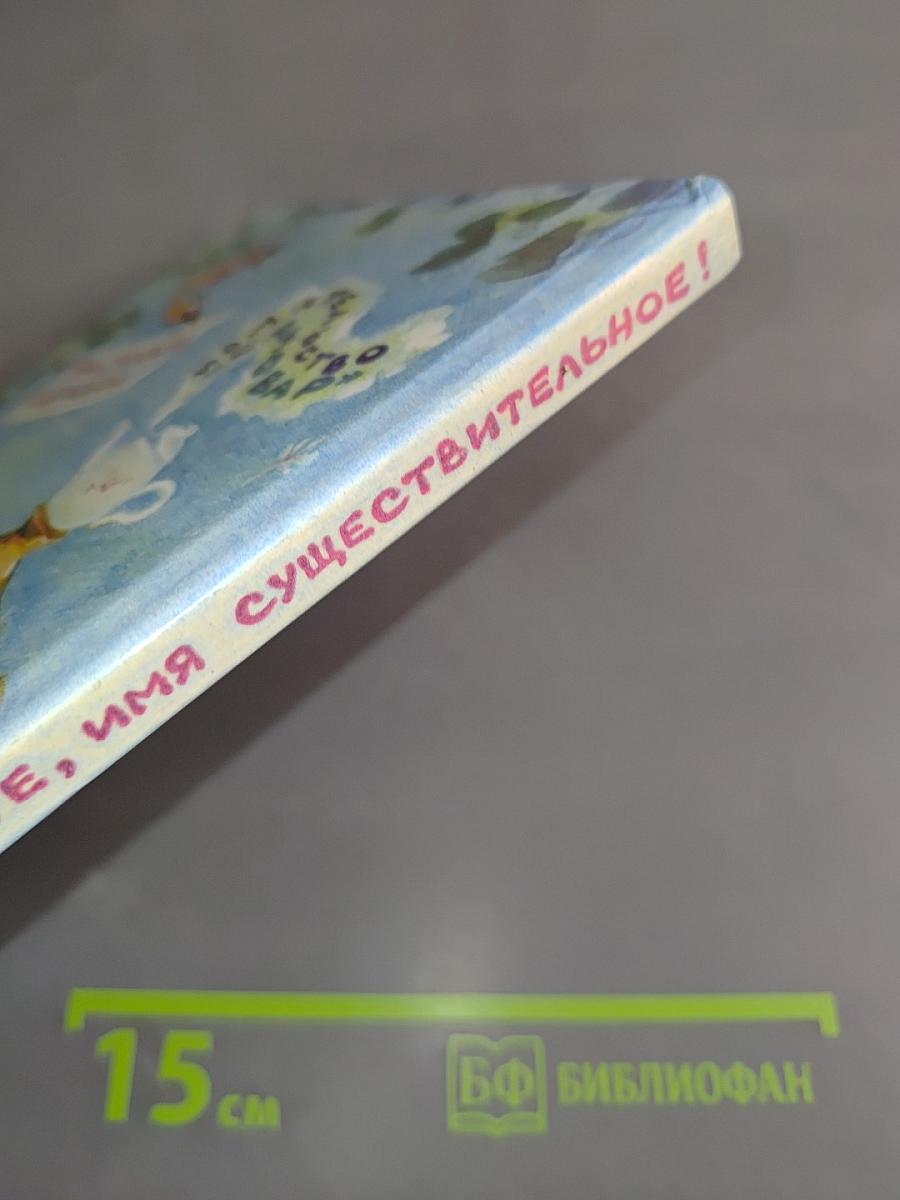 Здравствуйте, имя существительное!