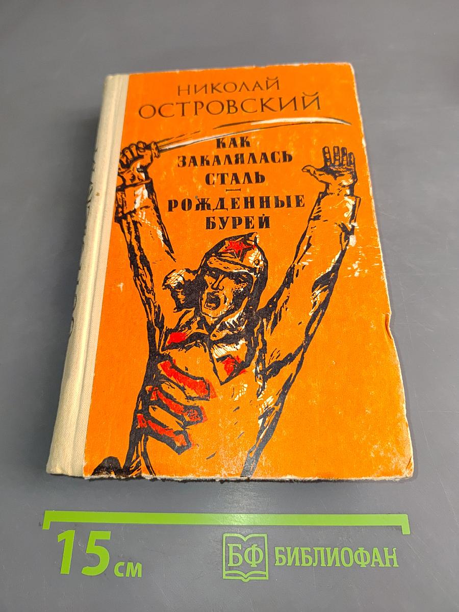 Как закалялась сталь. Рожденные бурей