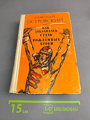 Как закалялась сталь. Рожденные бурей