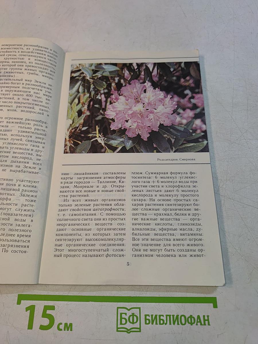 Растения Красной книги СССР