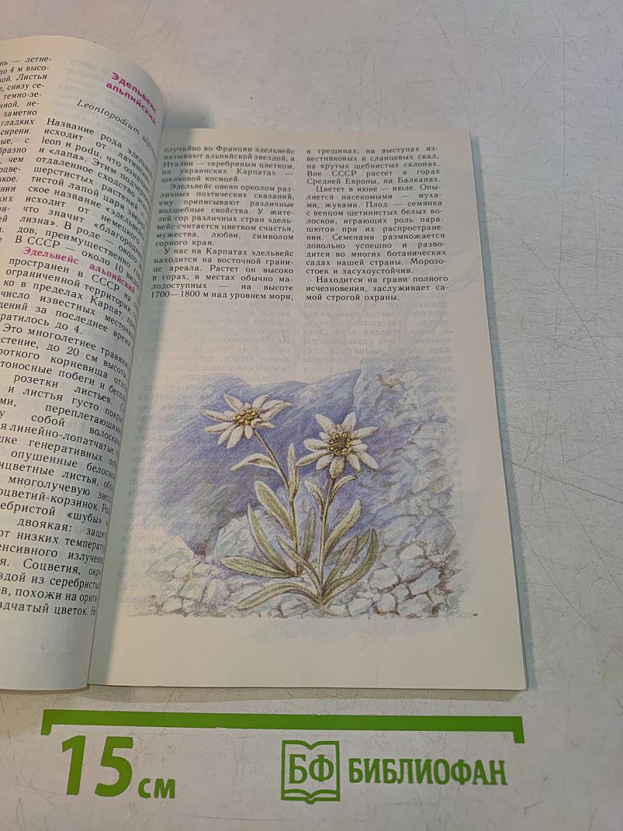 Растения Красной книги СССР