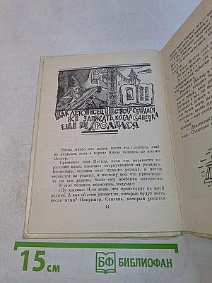 Упрямый горизонт. Книга для Санечки, будущего Александра