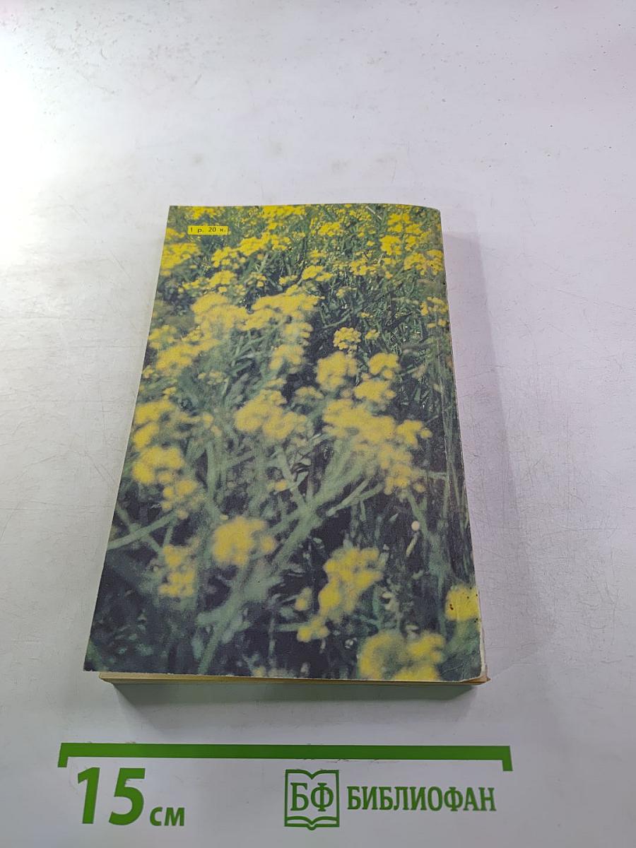 В чудесном мире пчел