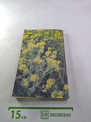 В чудесном мире пчел