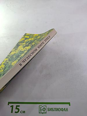 В чудесном мире пчел