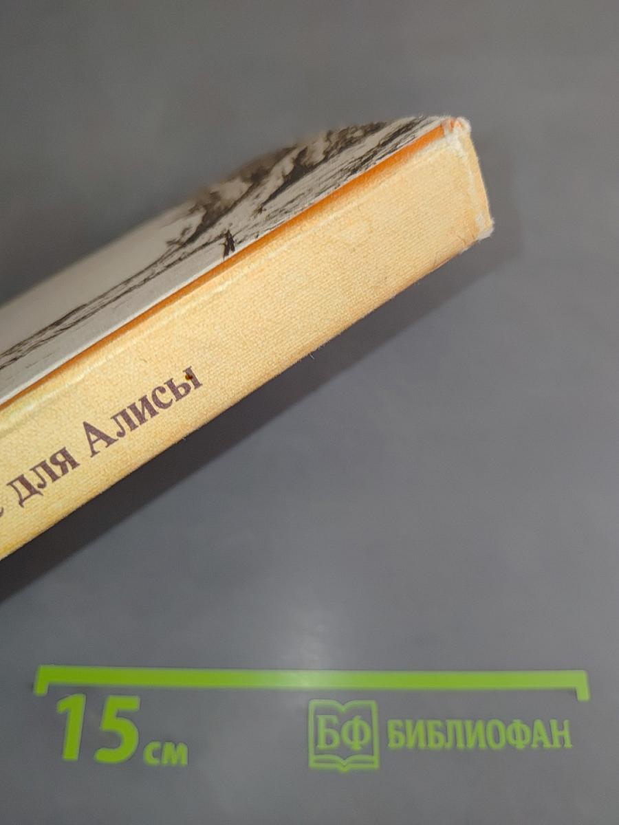 Платье для Алисы. Диалог писателя и художника