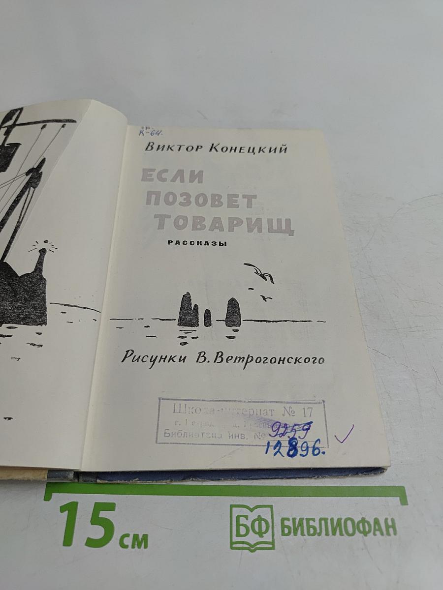Если позовет товарищ