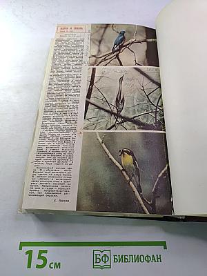 Наука и жизнь. Ежемесячный научно-популярный журнал. №1, Январь 1964