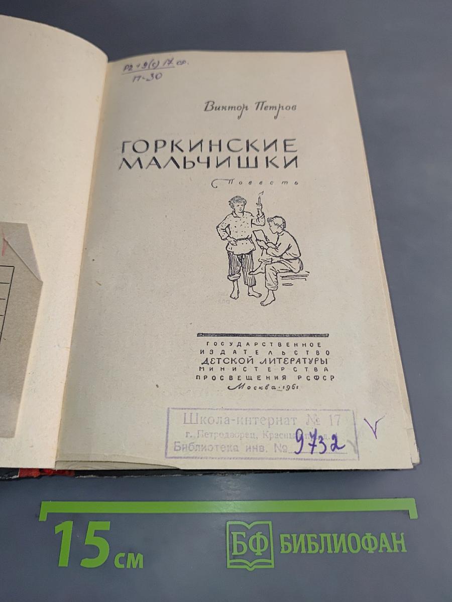 Горкинские мальчишки