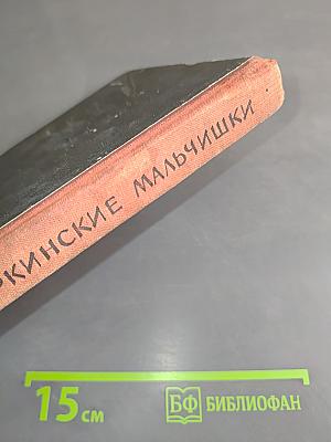 Горкинские мальчишки