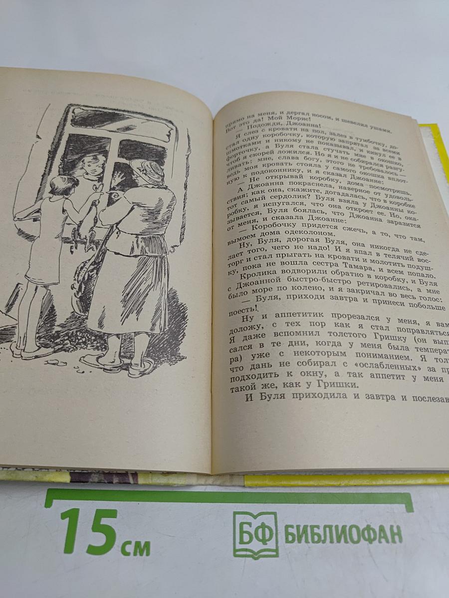 Новые земли Александра Кубова