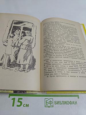 Новые земли Александра Кубова