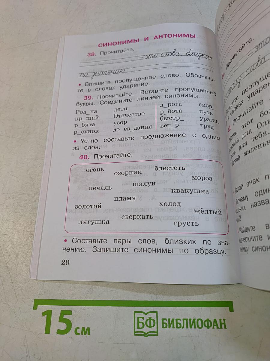 Русский язык. Рабочая тетрадь. 2 класс. Часть 2