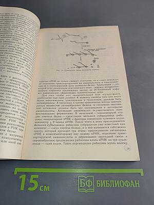 Рождение человека (от... и до...)
