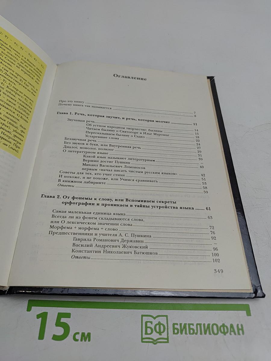 Речь, язык и секреты пунктуации