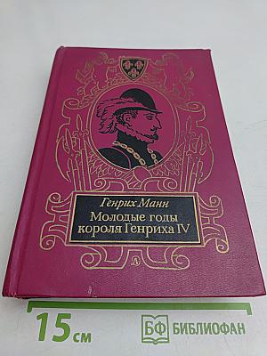 Молодые годы короля Генриха IV