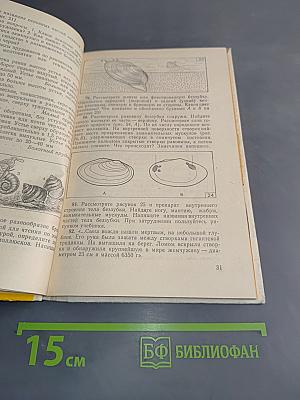 Активные формы и методы обучения биологии. Животные