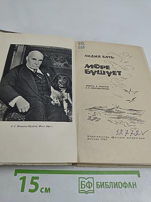 Море бушует