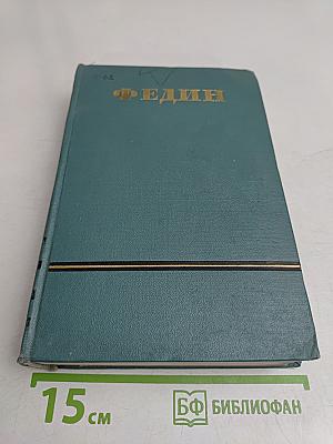 Необыкновенное лето