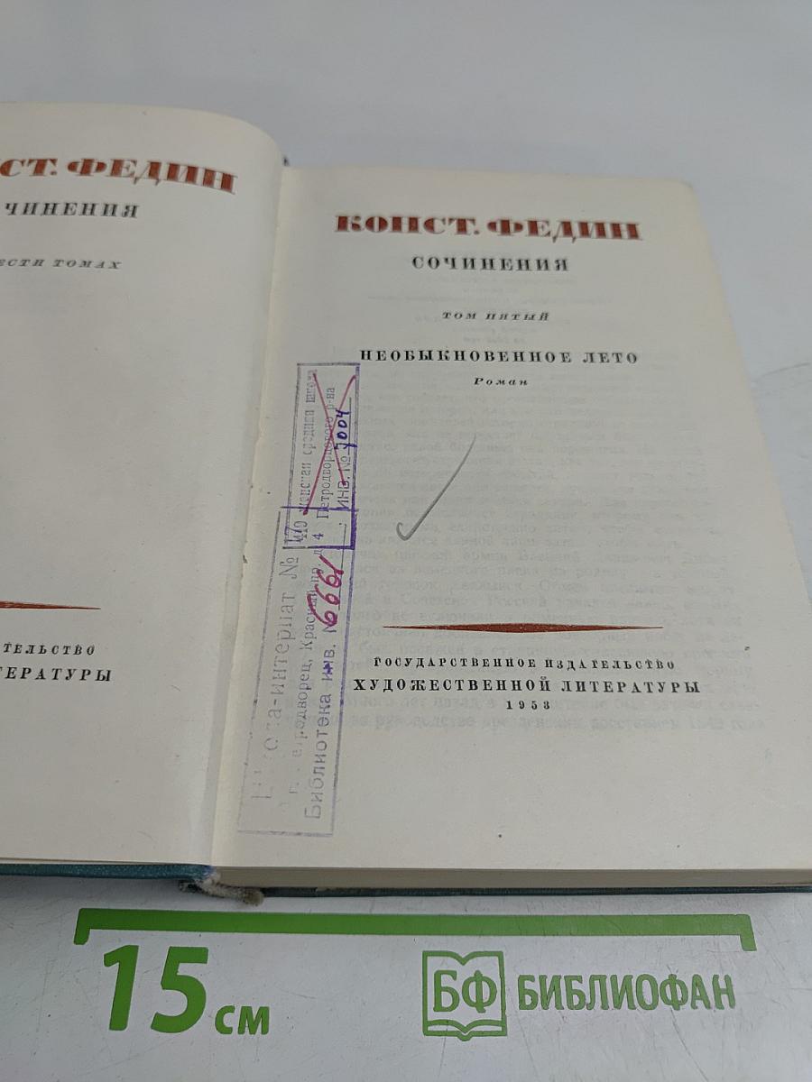 Необыкновенное лето