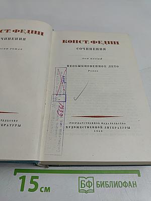 Необыкновенное лето